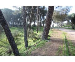 PARCELA EN CERRO MURIANO