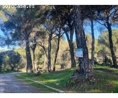 PARCELA EN CERRO MURIANO