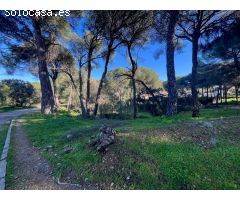 PARCELA EN CERRO MURIANO