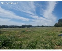 Se vende finca rustica