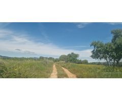 Se vende finca rustica