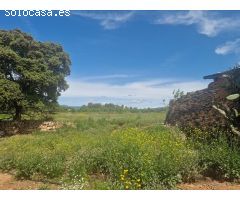 Se vende finca rustica