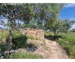 Se vende finca rustica
