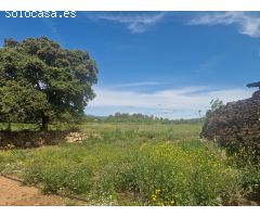 Se vende finca rustica