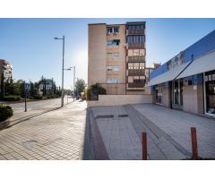 Local comercial en magnifica ubicación. Jardin de la Reina