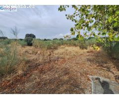 Parcela en Venta en Escalona, Toledo