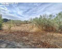 Parcela en Venta en Escalona, Toledo