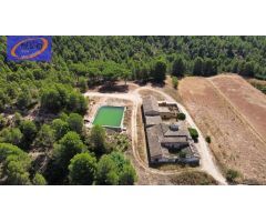 FINCA DE VIÑEDOS EN COFRENTES