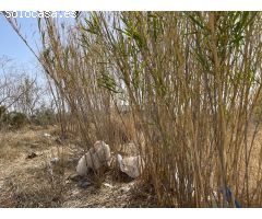 Parcela en Venta en Los Torrentes, Valencia