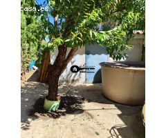 INMOBILIARIA TEJARES VENDE PARCELA A MENOS DE 1KM