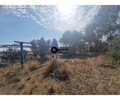 INMOBILIARIA TEJARES VENDE ESTUPENDA OPORTUNIDAD A ESCASOS METROS DE ALBACETE
