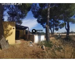 INMOBILIARIA TEJARES VENDE ESTUPENDA OPORTUNIDAD A ESCASOS METROS DE ALBACETE