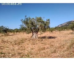 Venta de terreno en Villena (Alicante)