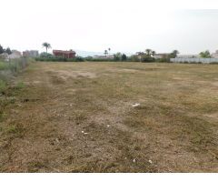 VENTA PARCELA DE HUERTA DE 8.323 M2 EN CRTA. ALICANTE