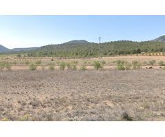 ¡ Escapa al encanto del campo !
