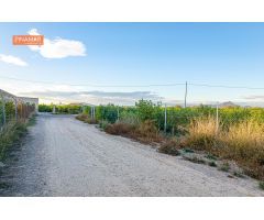 Venta de Parcela en producción de 150 limoneros Ecológicos.