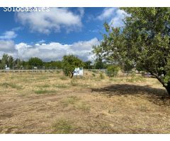 Terreno urbano para Residencia Geriátrica en El Molar