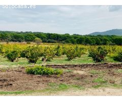 Terreno Rústico en Venta en San Martín de Valdeiglesias, Madrid