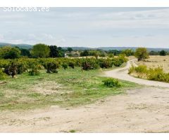 Terreno Rústico en Venta en San Martín de Valdeiglesias, Madrid