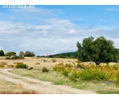 Terreno Rústico en Venta en San Martín de Valdeiglesias, Madrid