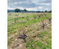 Terreno Rústico en Venta en San Martín de Valdeiglesias, Madrid