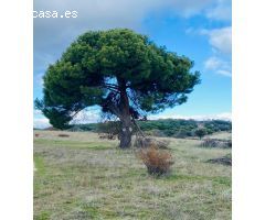 Terreno Rústico en Venta en San Martín de Valdeiglesias, Madrid
