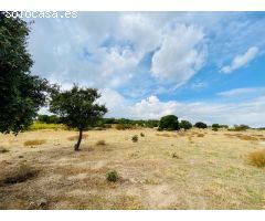 Terreno Rústico en Venta en San Martín de Valdeiglesias, Madrid