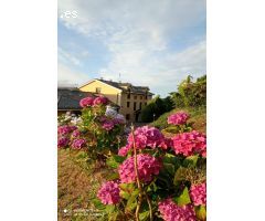 ESPECTACULAR FINCA/AP.TURISTICOS EN ASTURIAS (San Tirso, límite con Galicia)