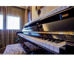 INCREIBLE CHALET INDEPENDIENTE CON FINCA DE OLIVOS