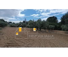 TERRENO URBANO EN PARTIDA SERRES DE CASTELLVELL DEL CAMP