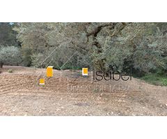 TERRENO URBANO EN PARTIDA SERRES DE CASTELLVELL DEL CAMP