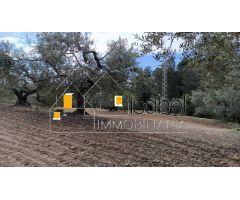 TERRENO URBANO EN PARTIDA SERRES DE CASTELLVELL DEL CAMP