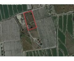 VENTA DE PARCELA EN EL ESPARRAGAL