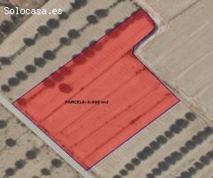 PARCELA 6.600 m2 EN AGUADERAS PARA EDIFICAR O CULTIVAR