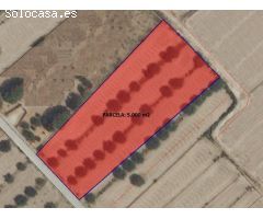 PARCELA 5.000 m2 EN AGUADERAS PARA EDIFICAR O CULTIVAR