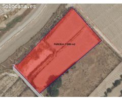 PARCELA 7.000 m2 EN AGUADERAS PARA EDIFICAR O CULTIVAR