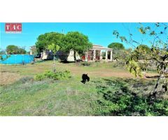 FINCA CON CASA