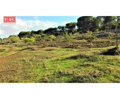 FINCA CON CASA