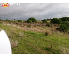 Finca en Lepe
