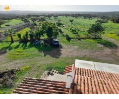 FINCA EN VILLANUEVA DE LOS CASTILLEJOS