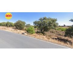Finca en Lepe