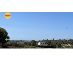 Finca con Casa en Lepe