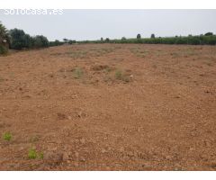 parcela agrícola de 53 000m2