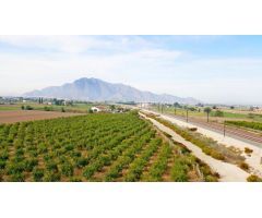 Finca rustica en Venta en Barrio Viejo de Callosa de Segura, Alicante