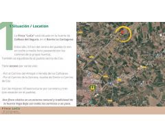 Finca rustica en Venta en Barrio Viejo de Callosa de Segura, Alicante