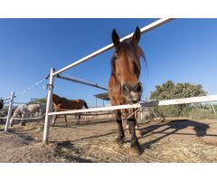 Hacienda en Venta en La Zubia, Granada