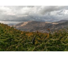 OPORTUNIDAD UNICA EN GUEJAR SIERRA!!!!