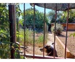 TERRENO EN CRUILLES