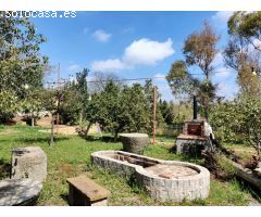 Terreno rural en Venta en Alcalá de Guadaira, Sevilla