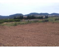 Chalet en Venta en Pliego, Murcia